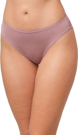 Montelle Intimates Bodybliss Briefs in Cappuccino at Nordstrom, Size Xx-Large