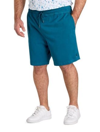 Psycho Bunny Big & Tall Willis Stretch Shorts in Mallard Blue at Nordstrom, Size 2X Big