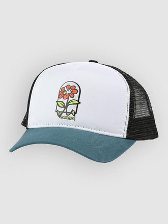Santa Cruz Flower Guy Meshback Cap blau