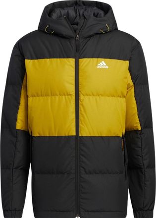 adidas Log Black Yellow HN4407