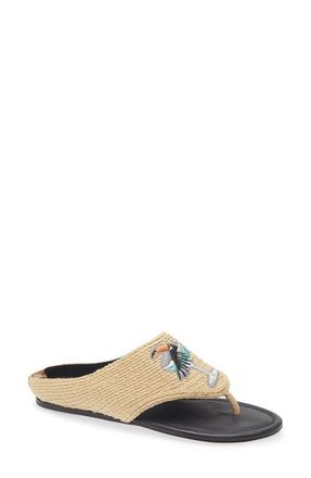 Farm Rio Icons Raffia Flip Flop in Tucan Black at Nordstrom, Size 8.5