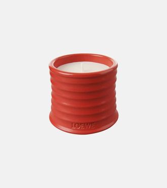 Loewe Tomato Leaves Small scented candle