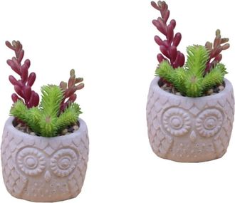 OEM 2 Piezas De Bons&aacute;is Suculentos Artificiales, Plantas Falsas Para Decoraci&oacute;n De Interiores, Sala De Estar, Hogar, Mini Plantas Artificiales, Adorno De 