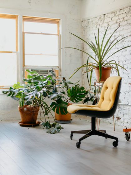 Brighten up your home with this trendy interior colour