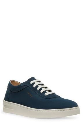 Stuart Weitzman Hamptons Sneaker in Navy at Nordstrom Rack, Size 12