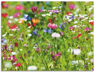 Artland Glasbild »Blumenwiese I« Blumenwiese 1 Stk. tlg. in verschiedenen Grössen