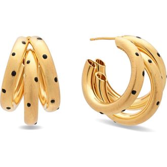 Eye Candy Los Angeles Katarina Hoop Earrings in Gold at Nordstrom Rack