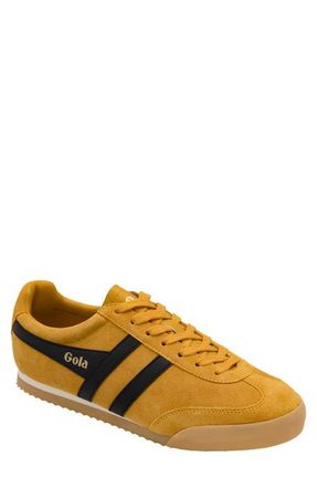 Gola Apollo Sneaker in Sun/Black/Gum at Nordstrom, Size 11.5