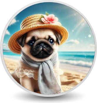 OEM Moneda Plateada De 1 Oz Con Elegancia De Carlino Costero