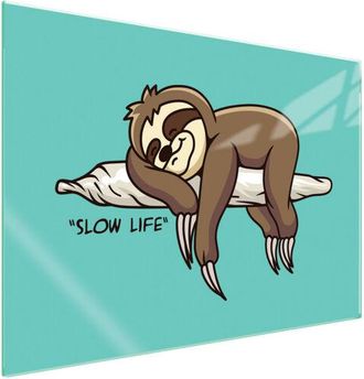 OEM Placa Protectora De Vidrio Para Estufa 70x52 Perezoso