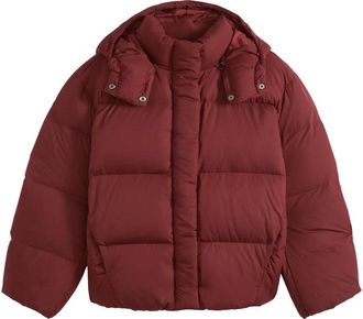 Levi's Tate Bubble Puffer Bordeaux
