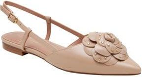 Linea Paolo Cadie Slingback Pointed Toe Flat in Blush Pink at Nordstrom Rack, Size 6.5