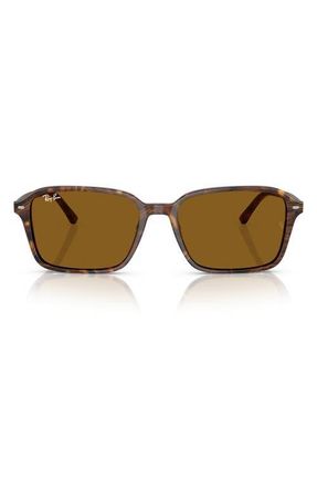 Ray-Ban 56mm Square Sunglasses in Brown at Nordstrom