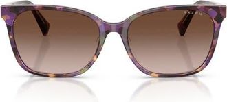 Ralph Lauren 56mm Gradient Square Sunglasses in Violet Havana /Brown at Nordstrom
