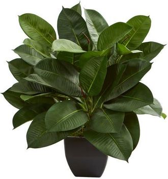 Nearly Natural Oak Ficus Artificial Plant in Green at Nordstrom