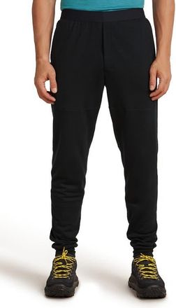 Icebreaker 300 Descender Joggers in Black at Nordstrom, Size X-Large