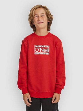 O'Neill Cali Crew Kids Sweater rood