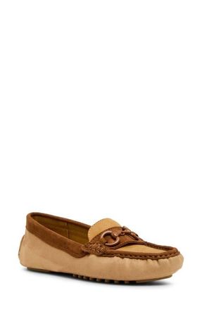 Anne Klein Chrystie Bit Loafer in Taupe Multi at Nordstrom, Size 7.5