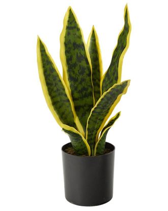 Nearly Natural 14In Sansevieria Artificial Plant