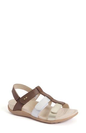 Strive Footwear Cassis Cage Sandal in Tan at Nordstrom, Size 8.5