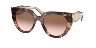 Prada PR 14WSF Asian Fit 01R0A6 Womens Sunglasses Tortoiseshell Size 53