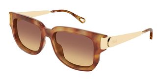 Chlo&eacute; CH0351S 002 Womens Sunglasses Tortoiseshell Size 54