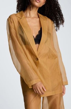 Kenneth Cole One-Button Sheer Jacket in Mesquite at Nordstrom, Size Small