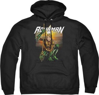 Gildan Justice League of America Beach Sunset Adult Pull Over Hoodie / Hooded Sweatshirt