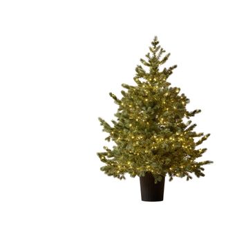 Schubiger M&ouml;bel Kunstpflanzen Tannenbaum 480LED Gr&uuml;n H: 120 cm