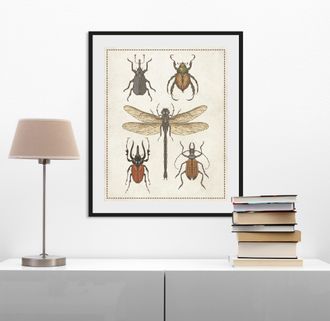 Queence Bild »Paula« Insekten Kunst Schmetterlinge 1 Stk. tlg. HD Premium Poster-Druck inkl. Holzrahmen