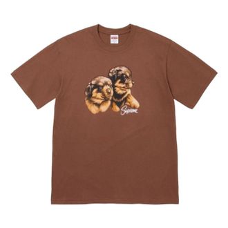 SUPREME FW26 Puppies T-Shirt Brown SUP-FW26-003-BRN