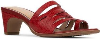 Donald J Pliner Dayvi Toe Loop Sandal in Tomato at Nordstrom, Size 5.5