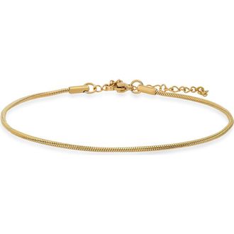 Steeltime 18K Gold Plated Stainless Steel Chain Anklet at Nordstrom Rack