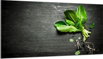 OEM Protector De Cristal Para Encimera 90x52 Albahaca