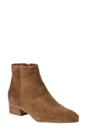 Aquatalia Fuoco Waterproof Bootie in Champagne Suede at Nordstrom, Size 10.5