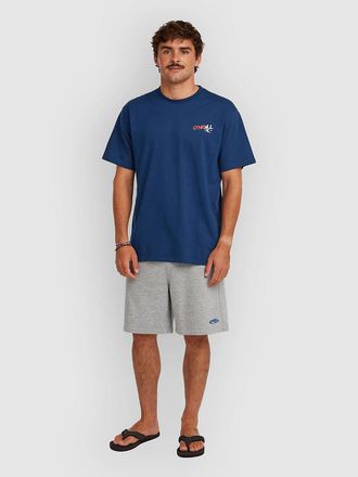 O'Neill Essentials 90S Sweat Shorts grau