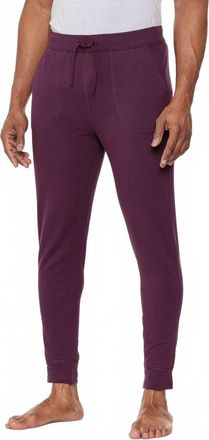 Saxx 3Six Five Lounge Pant In Plum