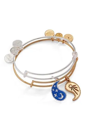 Alex and Ani Yin Yang Celestial Bff Bangle Bracelet Set Of 2 in Two Tone at Nordstrom, Size Small