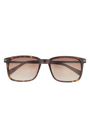 Ted Baker 56mm Polarized Square Sunglasses in Tortoise at Nordstrom Rack