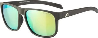 Alpina Nacan III - unisex - Zonnebrillen - Zwart - ONE Size - Accessoires
