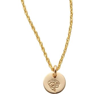 Made by Mary January Birth Flower Necklace in Gold Filled at Nordstrom, Size Medium