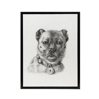 Artery8 Dog head with a Collar Pencil Drawing Bernard Framed Canvas Wall Art in White | Size: W24 x H32