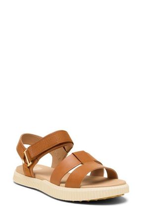 Sorel ONA AVE Ankle Strap Sandal in Iced Tea/Gum at Nordstrom, Size 10.5