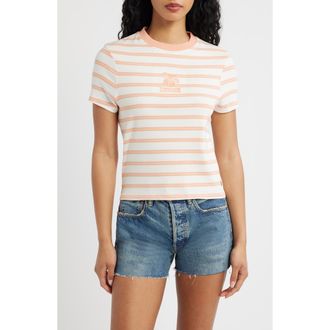 Rip Curl Stripe Embroidered Fitted T-Shirt in Papaya Stripe at Nordstrom, Size Xx-Large