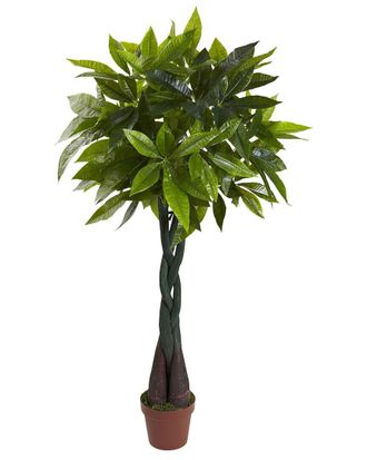 Nearly Natural 4Ft Money Plant (Real Touch)