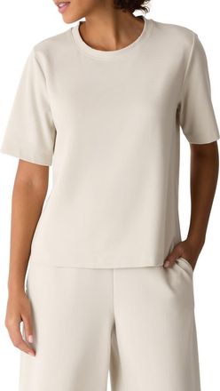 Eileen Fisher Crewneck Ponte T-Shirt in Papyrus at Nordstrom, Size X-Large