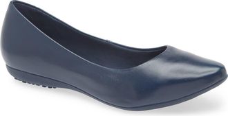 Bottero Botdogs Ballet Flat in Marinho 24 at Nordstrom, Size 10