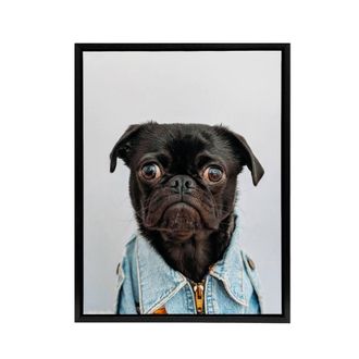 Artery8 Deluvio Pug Puppy Dog In Jacket Framed Canvas Wall Art Print in Light Grey | Size: W24 x H32