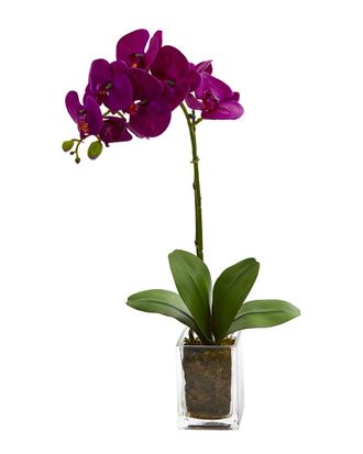 Nearly Natural Orchid Phalaenopsis Artificial Arrangement in Vase