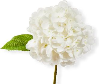 Tag Soft Touch Faux Hydrangea Stem White White Plastic Spring at Nordstrom
